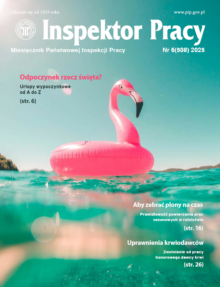 Okładka czerwcowego numeru "Inspektora Pracy" utrzymana w klimacie urlopu, przedstawia morze i dmuchanego falminga.